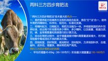澤牧久遠(yuǎn)亮相2019武漢畜博會(huì) 以技術(shù)轉(zhuǎn)讓引領(lǐng)草食動(dòng)物營養(yǎng)新風(fēng)潮